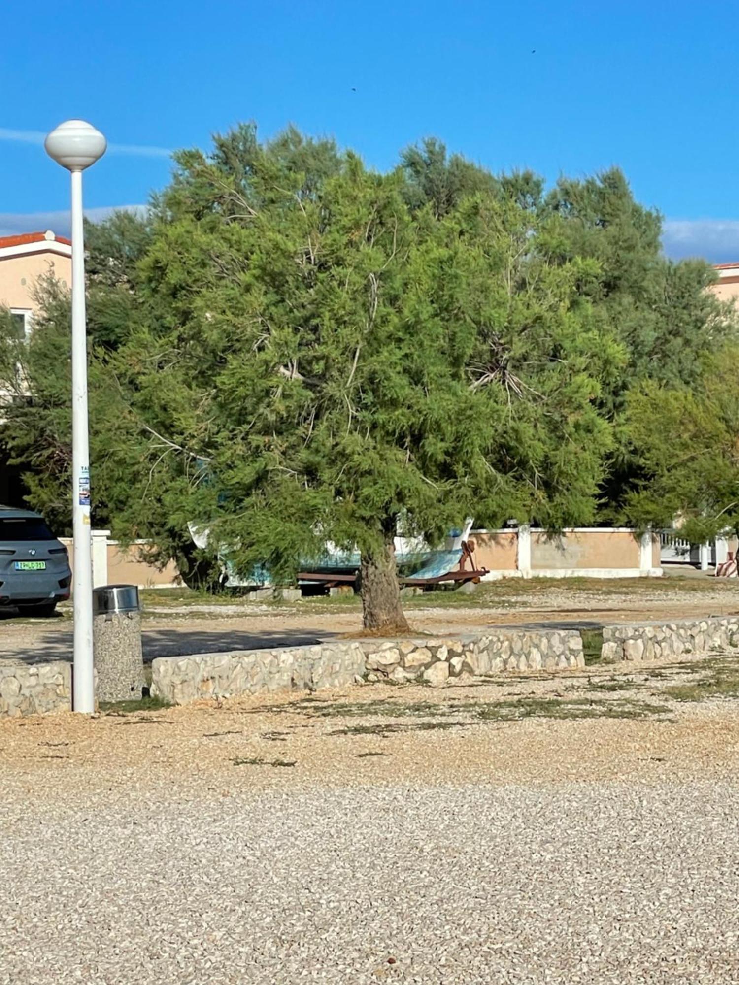 Apartman Boja Vir Bagian luar foto